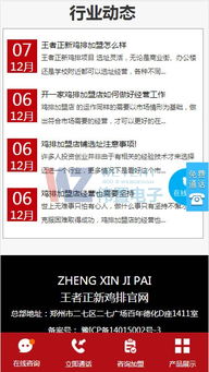 王者正新鸡排与麦多馅饼 数字化时代的食品品牌网站建设策略