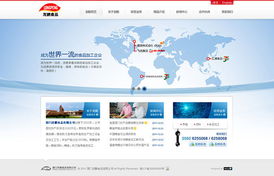 厦门龙鹏食品官方网站中英文双语建设方案