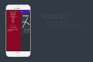 网站建设 从案例剖析到成功实践