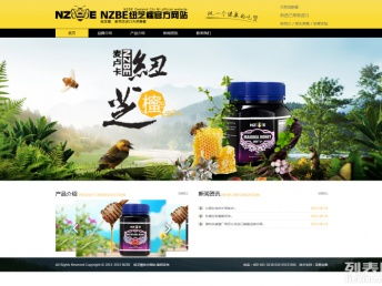 北京网站建设与推广 选择专业公司，赋能企业数字化未来